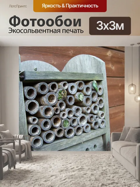 Фотообои Дом насекомых
