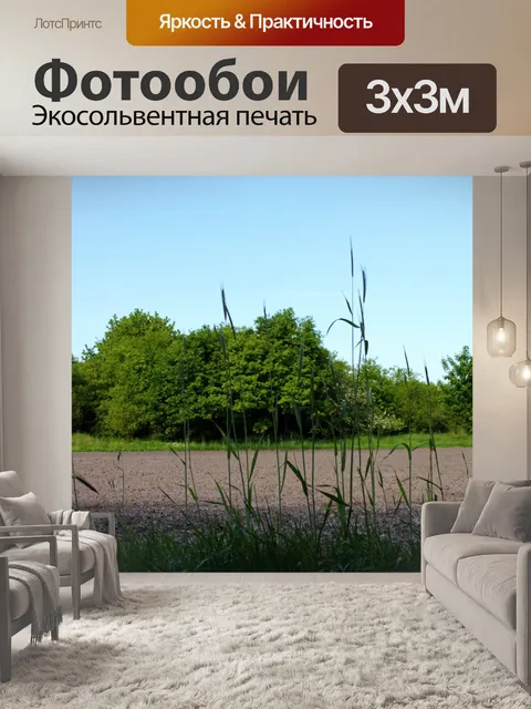 Фотообои Фон