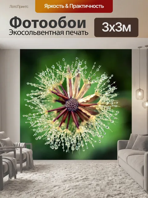 Фотообои Одуванчик