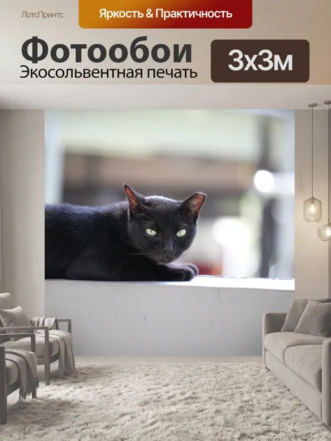 Фотообои черная дикая кошка вздремнуть