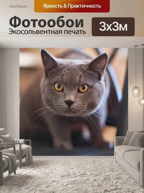 Фотообои Кошка