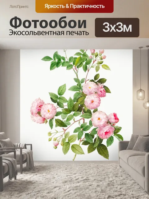 Фотообои Нарисованный цветок розы