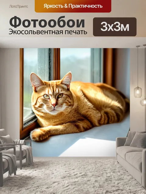 Фотообои кошка, лежащая на подоконнике, наслаждающаяся солнцем
