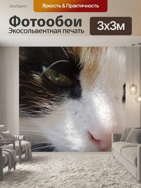 Фотообои Кошка
