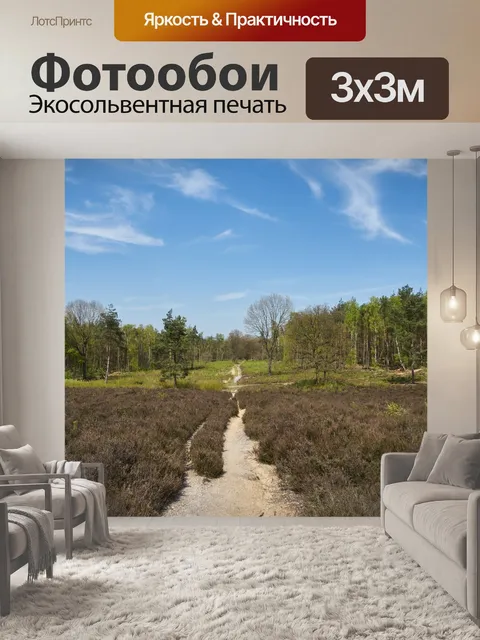 Фотообои Лес