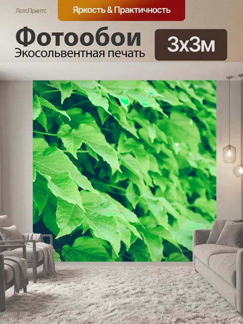 Фотообои Листья
