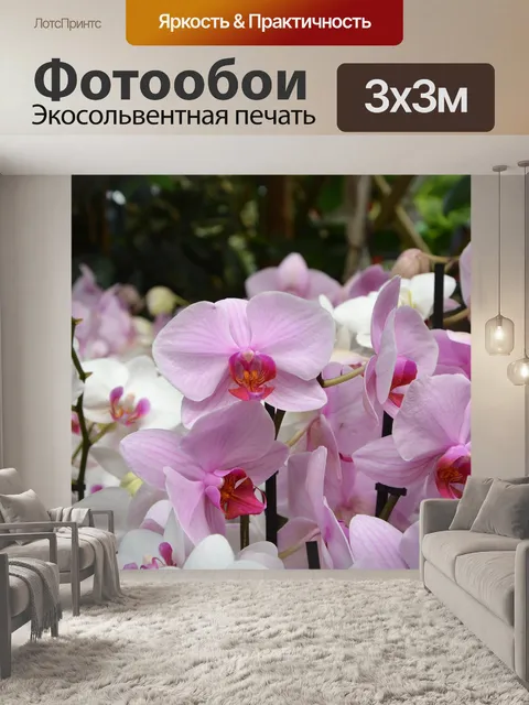 Фотообои Цветы орхидеи розы
