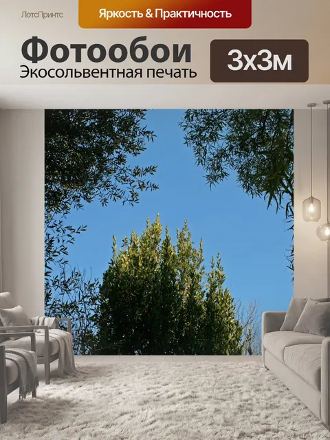 Фотообои три дерева и голубое небо