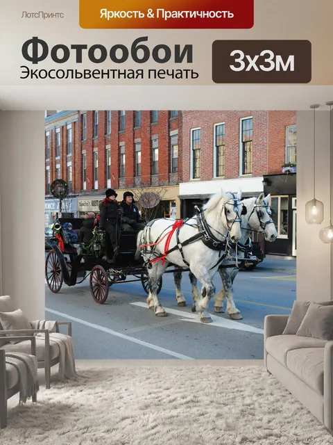 Фотообои Лошадь-обращается Надежда Перевозки Порт