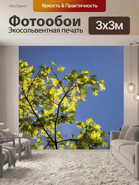 Фотообои Листья
