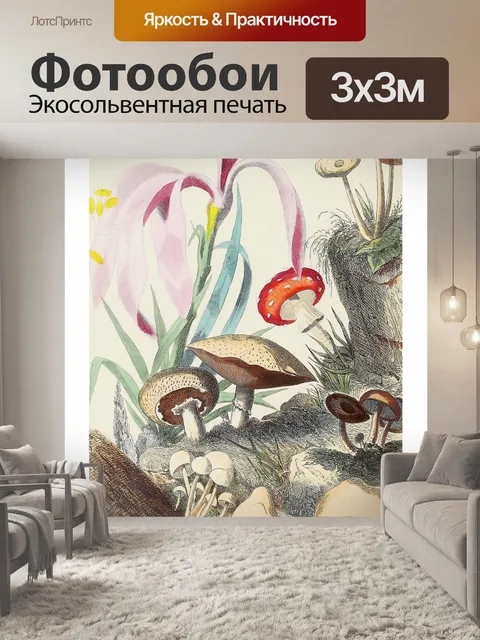 Фотообои Грибы-чемпионы винтажного искусства