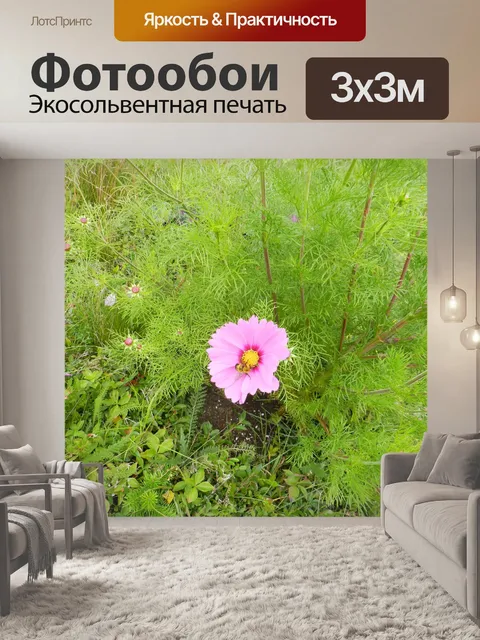 Фотообои Соната и пчела 2