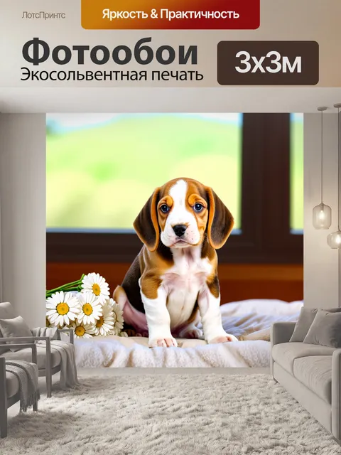 Фотообои Щенок бигля с коричнево-белым окрасом сидит на кровати с пучком белых ромашек на фоне солнечного окна с…