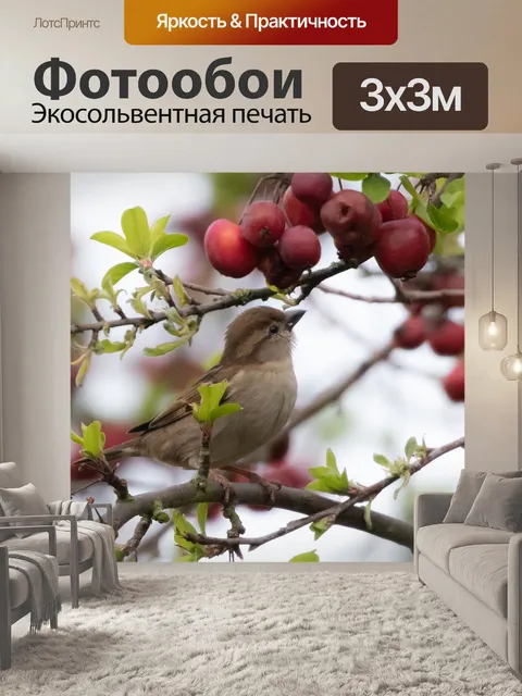 Фотообои Воробей