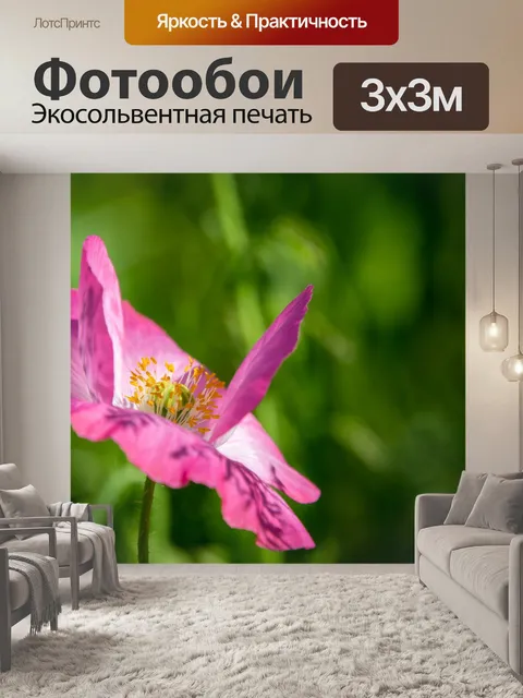 Фотообои Японский анемон