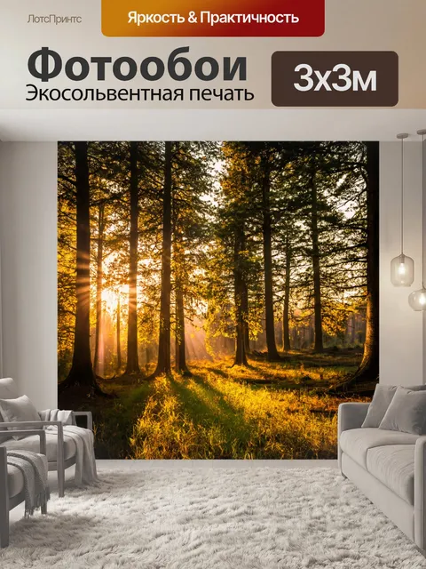 Фотообои вечернее солнце просвечивает сквозь деревья, длинные тени и золотистый свет