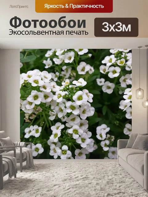 Фотообои Цветы