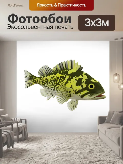Фотообои Морской окунь
