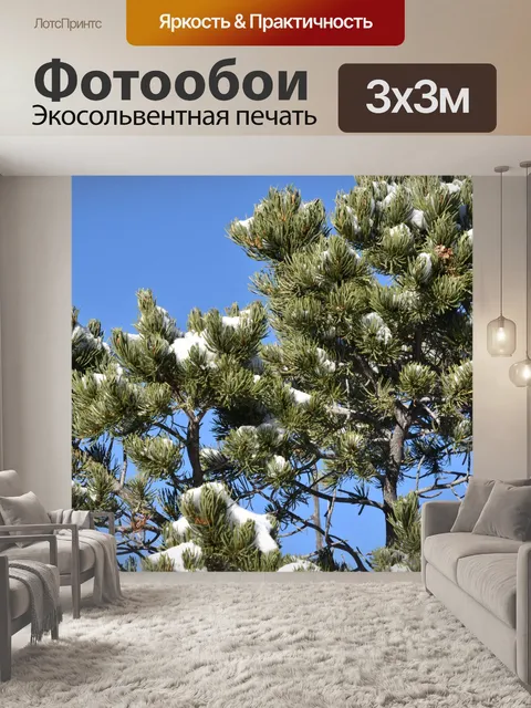 Фотообои Снег на вершине деревьев
