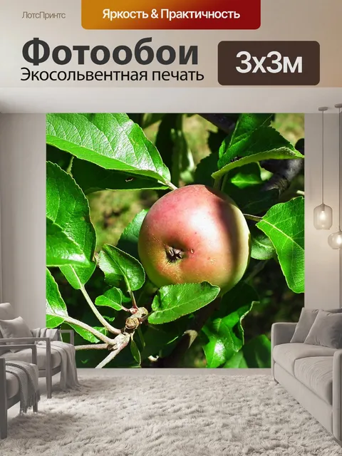 Фотообои Apple