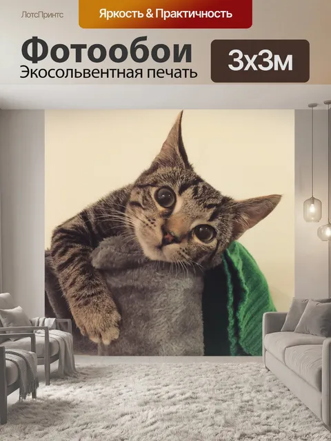 Фотообои Кошка
