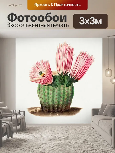 Фотообои Кактус cacti art vintage