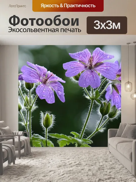 Фотообои Расцветает
