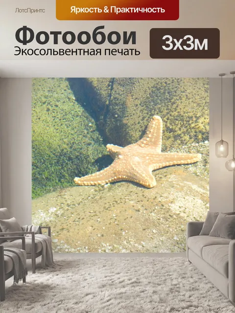 Фотообои Морская звезда