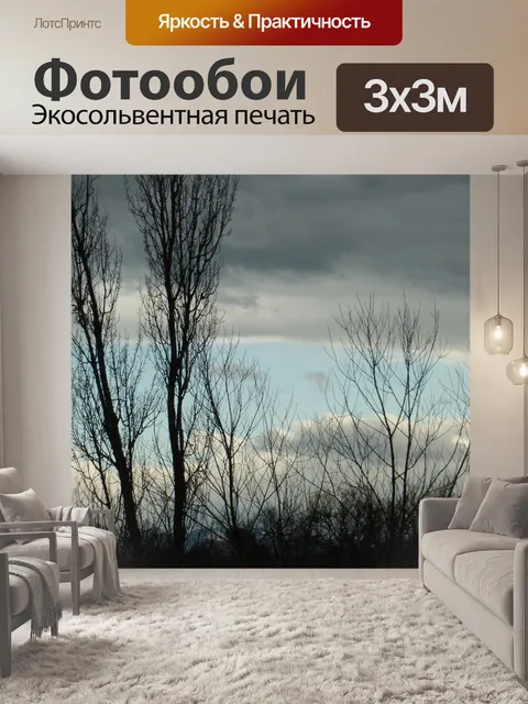 Фотообои Вечернее небо