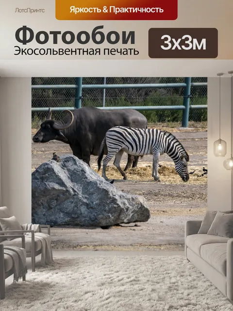 Фотообои буйвол и зебра