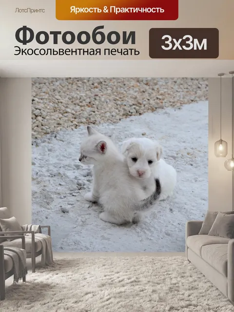 Фотообои Собака кошка