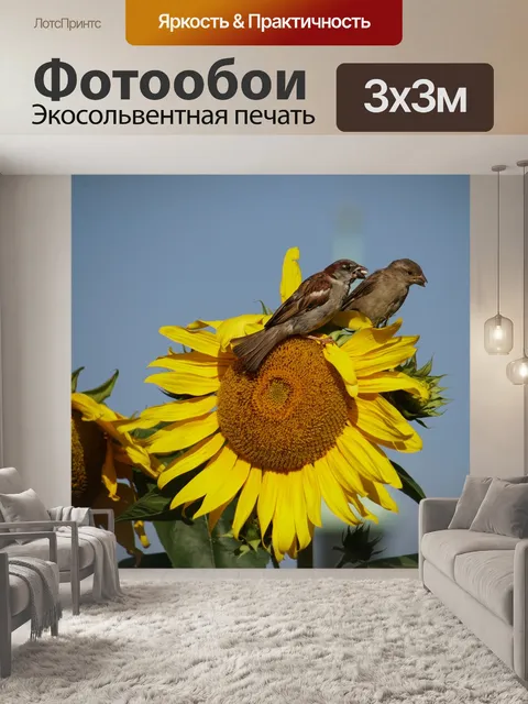 Фотообои Подсолнухи