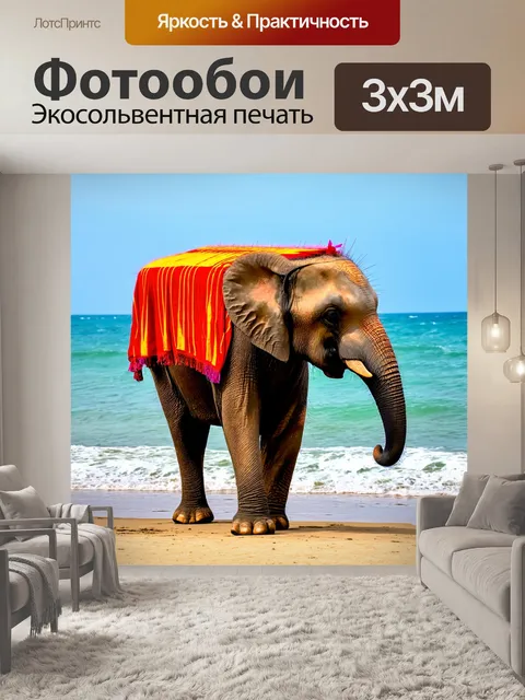 Фотообои слон с яркой тканью на спине, стоящий на берегу моря