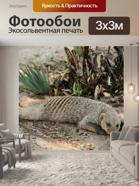 Фотообои Африке