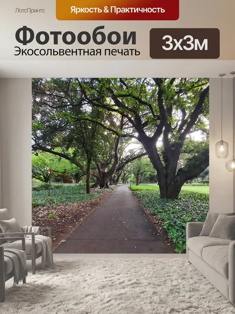 Фотообои Мортон-Бэй Инжир в Гайд-парке