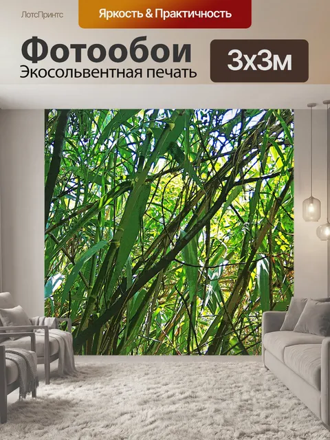 Фотообои камыши на берегу реки