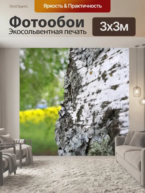 Фотообои Береза