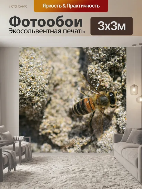 Фотообои Пчела
