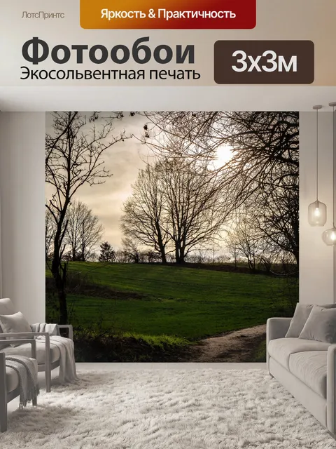 Фотообои Лес