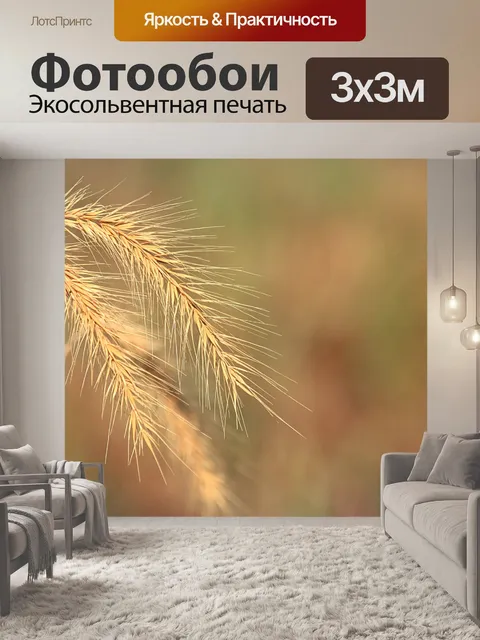 Фотообои Фон пшеничной травы