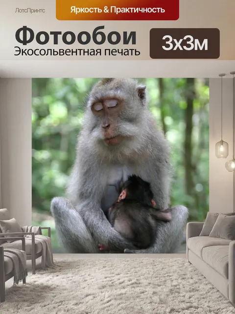 Фотообои Убуд, Бали, Индонезия