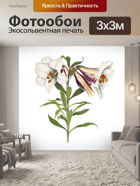 Фотообои Цветок лилии белый винтаж