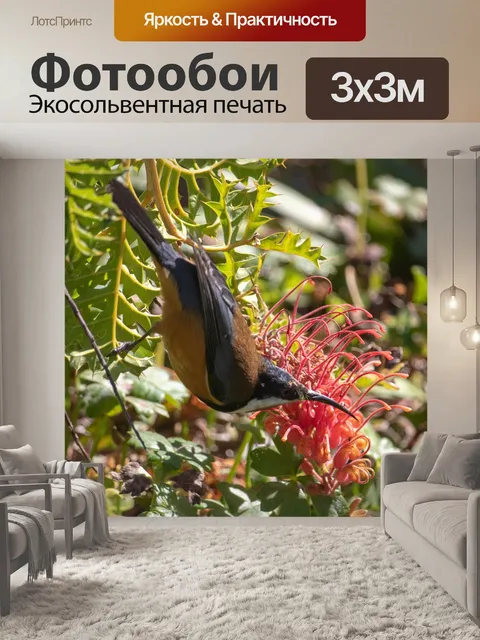 Фотообои Птица