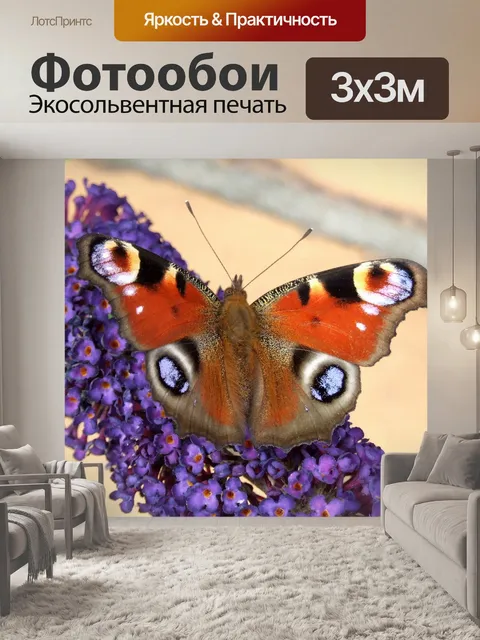Фотообои Павлин бабочка