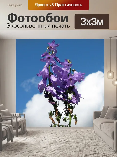 Фотообои Большая голубая лобелия