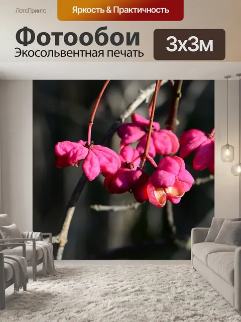 Фотообои Павлин