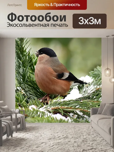 Фотообои Снегирь