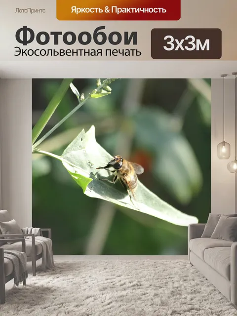 Фотообои Муха