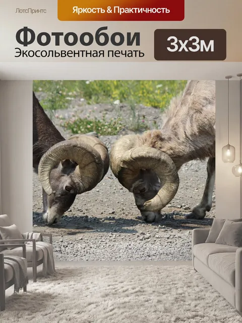 Фотообои Большой