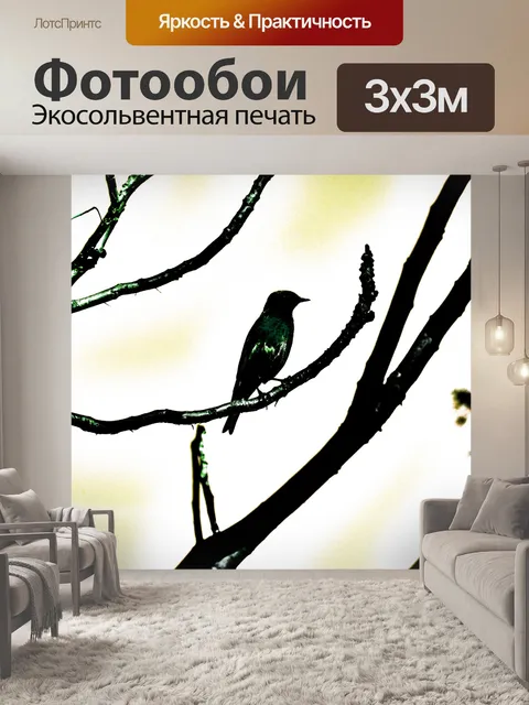 Фотообои Силуэт птицы